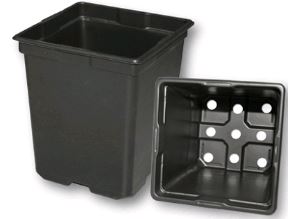 SVD 550 Black - 200 per case - Square Pots